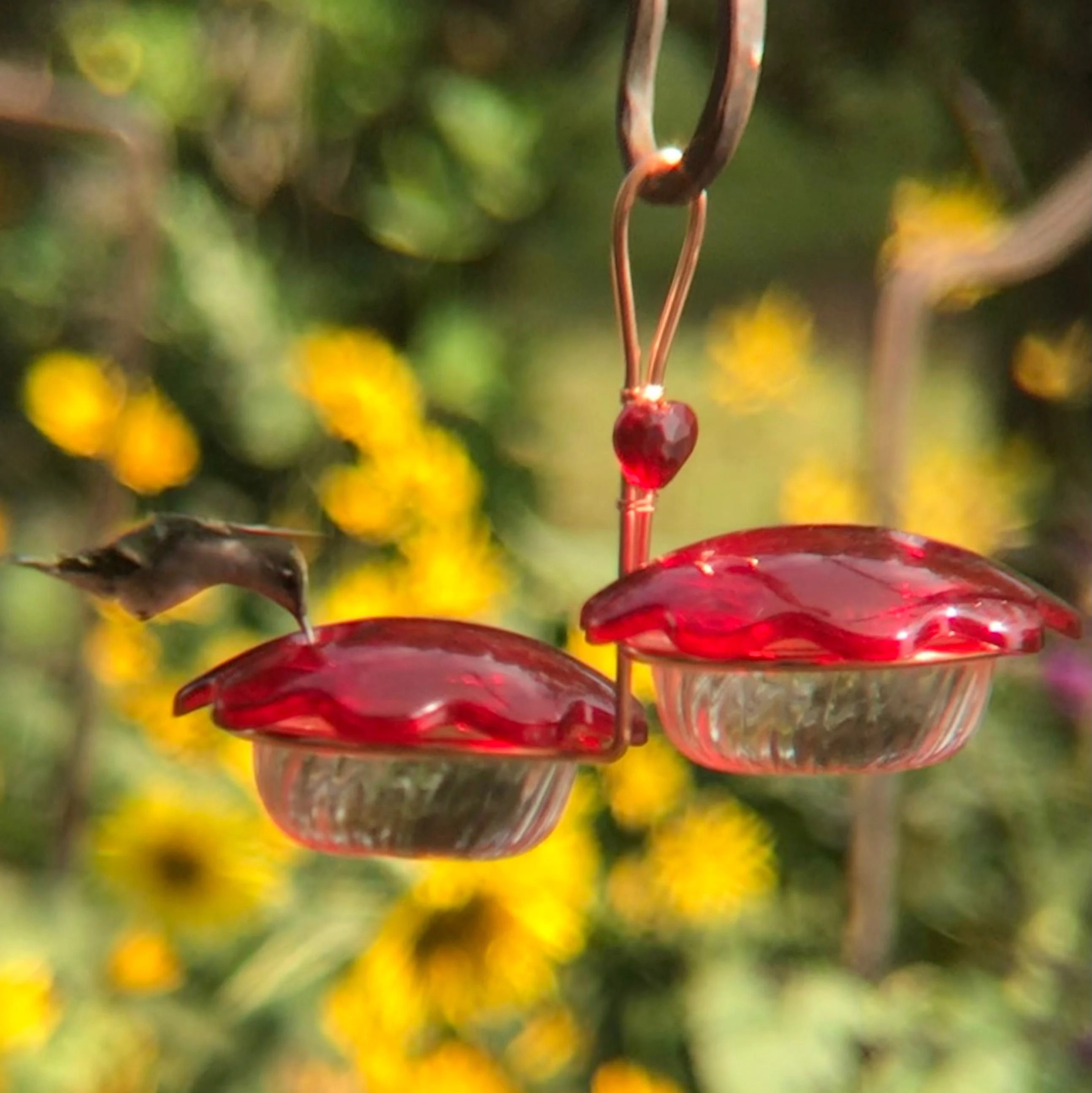 Hummingbird Petal Feeder