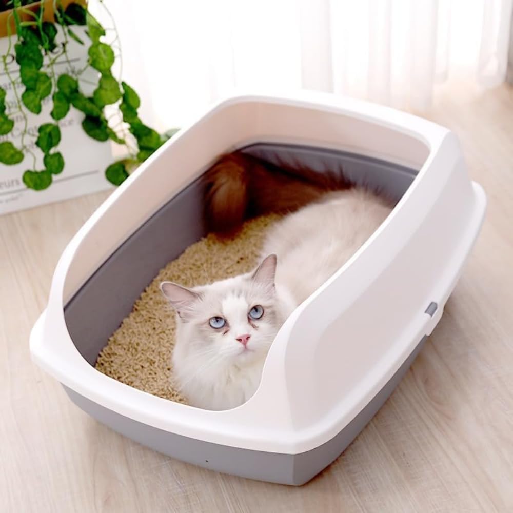 Open Top Cat Litter Box