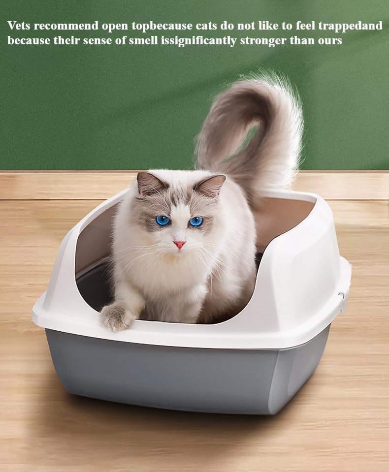 Open Top Cat Litter Box
