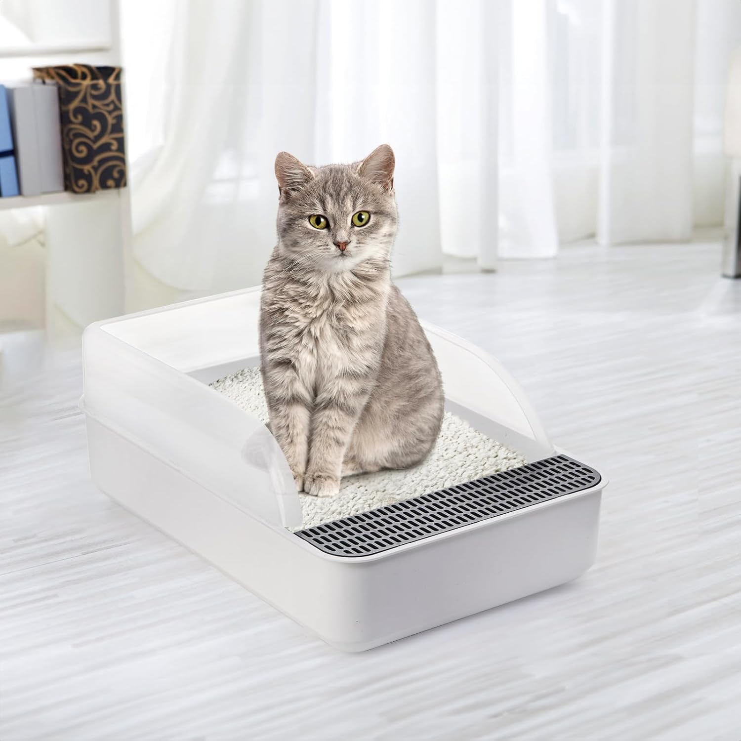 Open Top Cat Litter Box with High Side