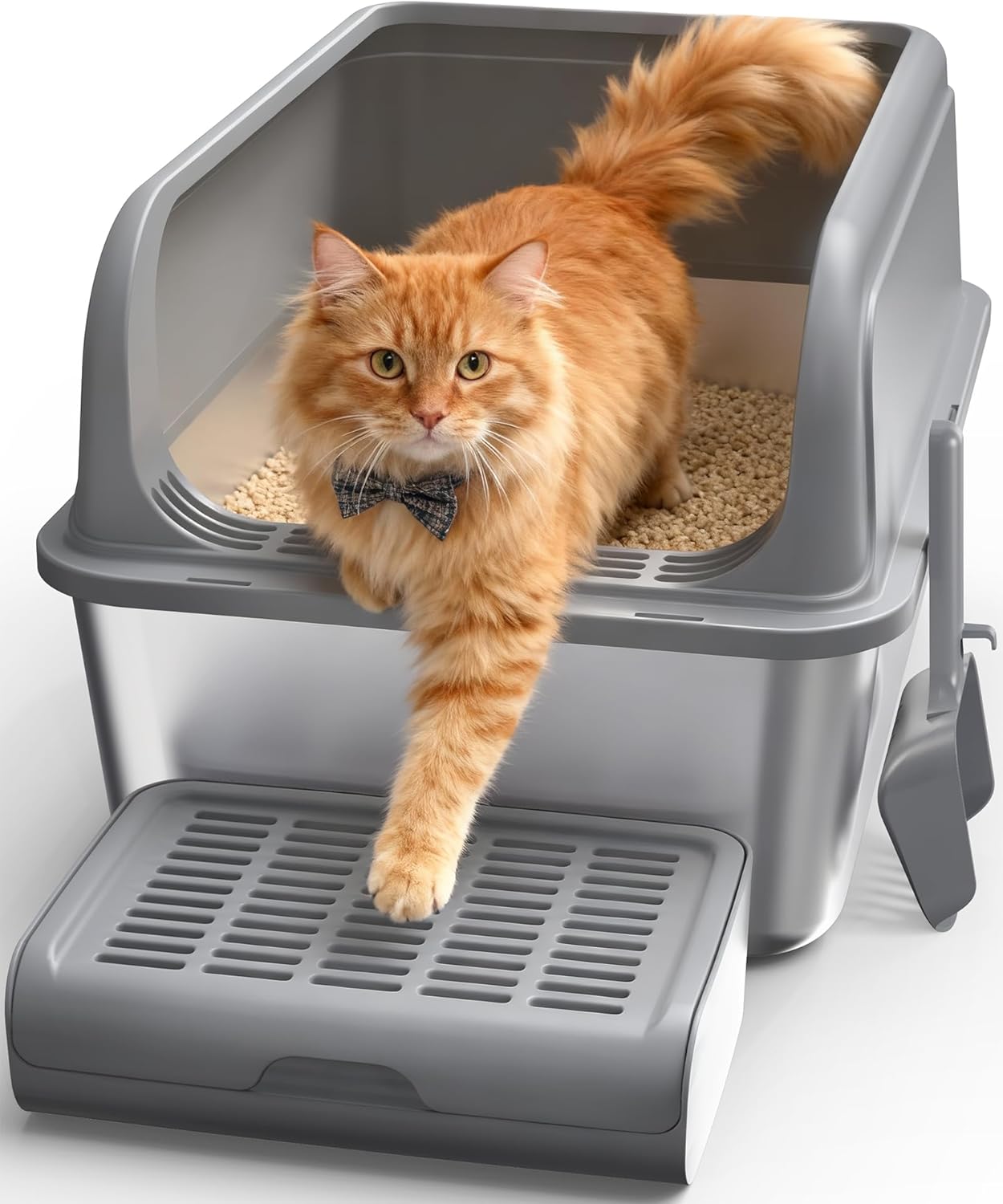 Cat Litter Box