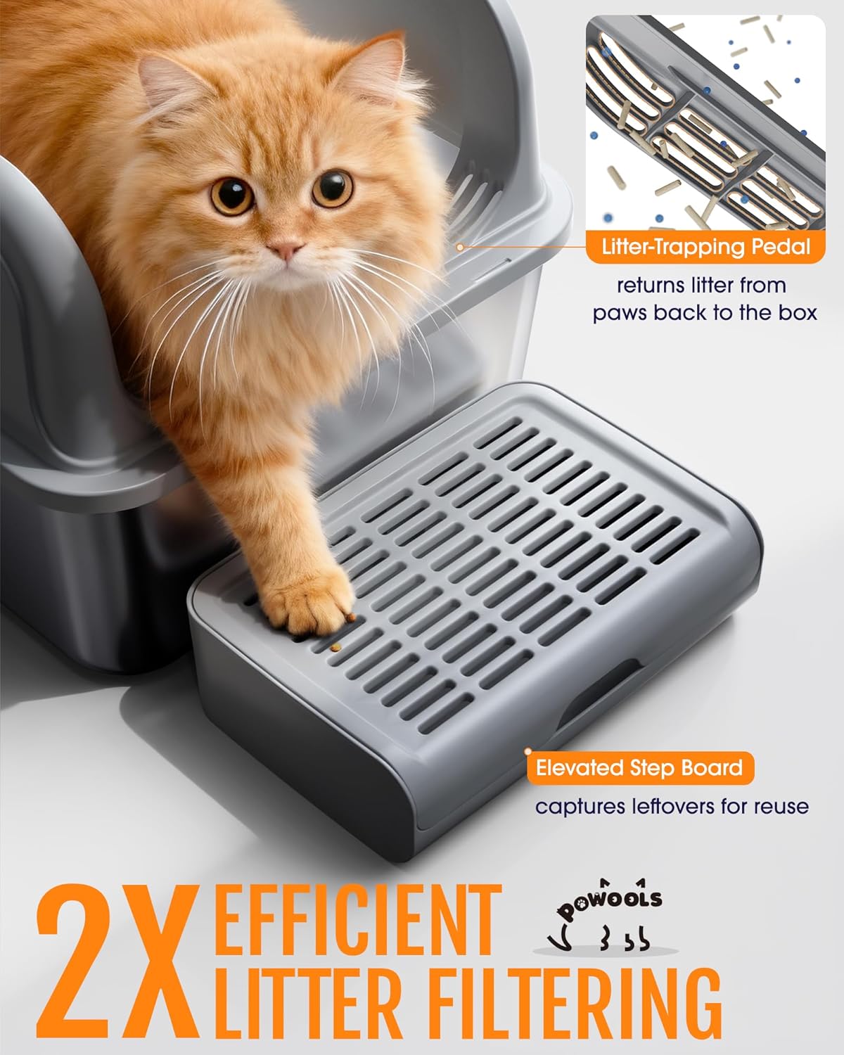 Cat Litter Box