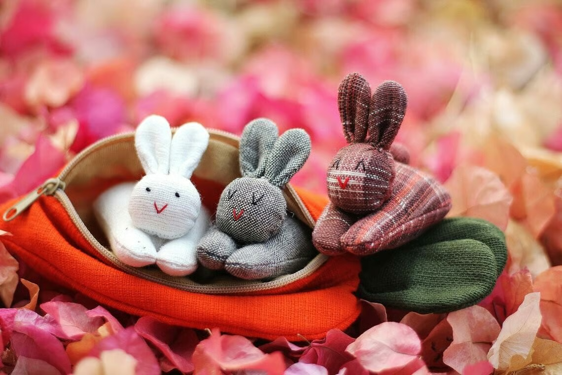 Hide-and-Seek Bunnies in Carrot Pouch