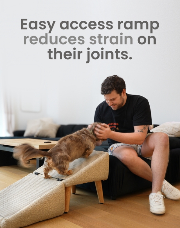 Split Ottoman Dog Ramp