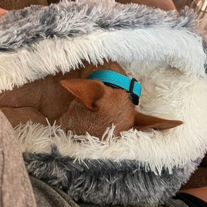 CozyNook Plush Fluffy Dog and Cats Round Bed