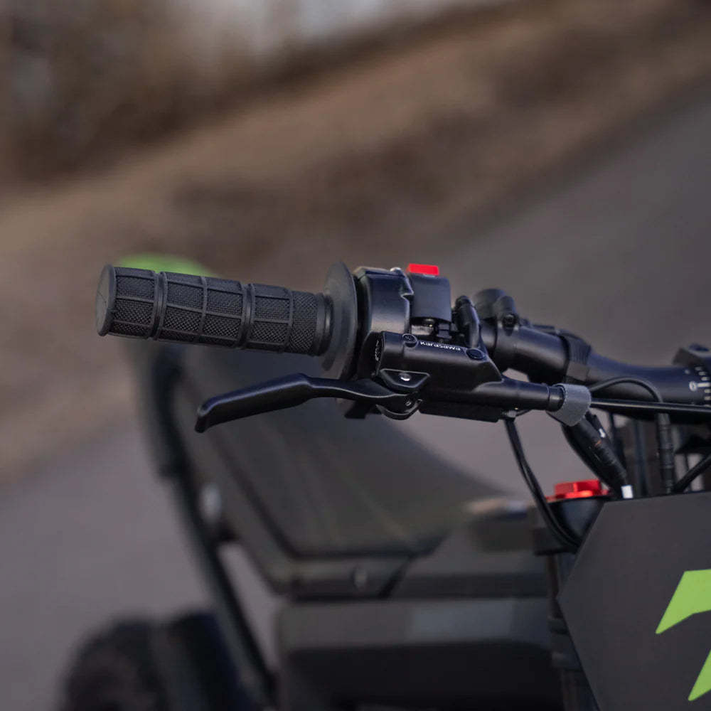 Rawrr Mantis Mini R/ R17