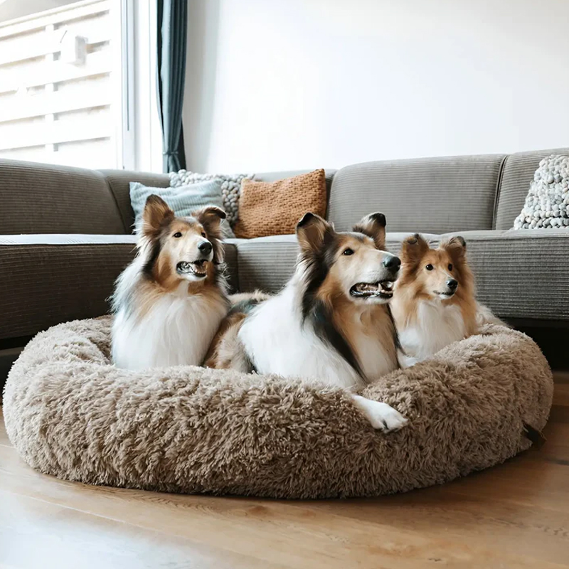 MrFluffyFriend® - Das beste Anti-Angst Hundebett