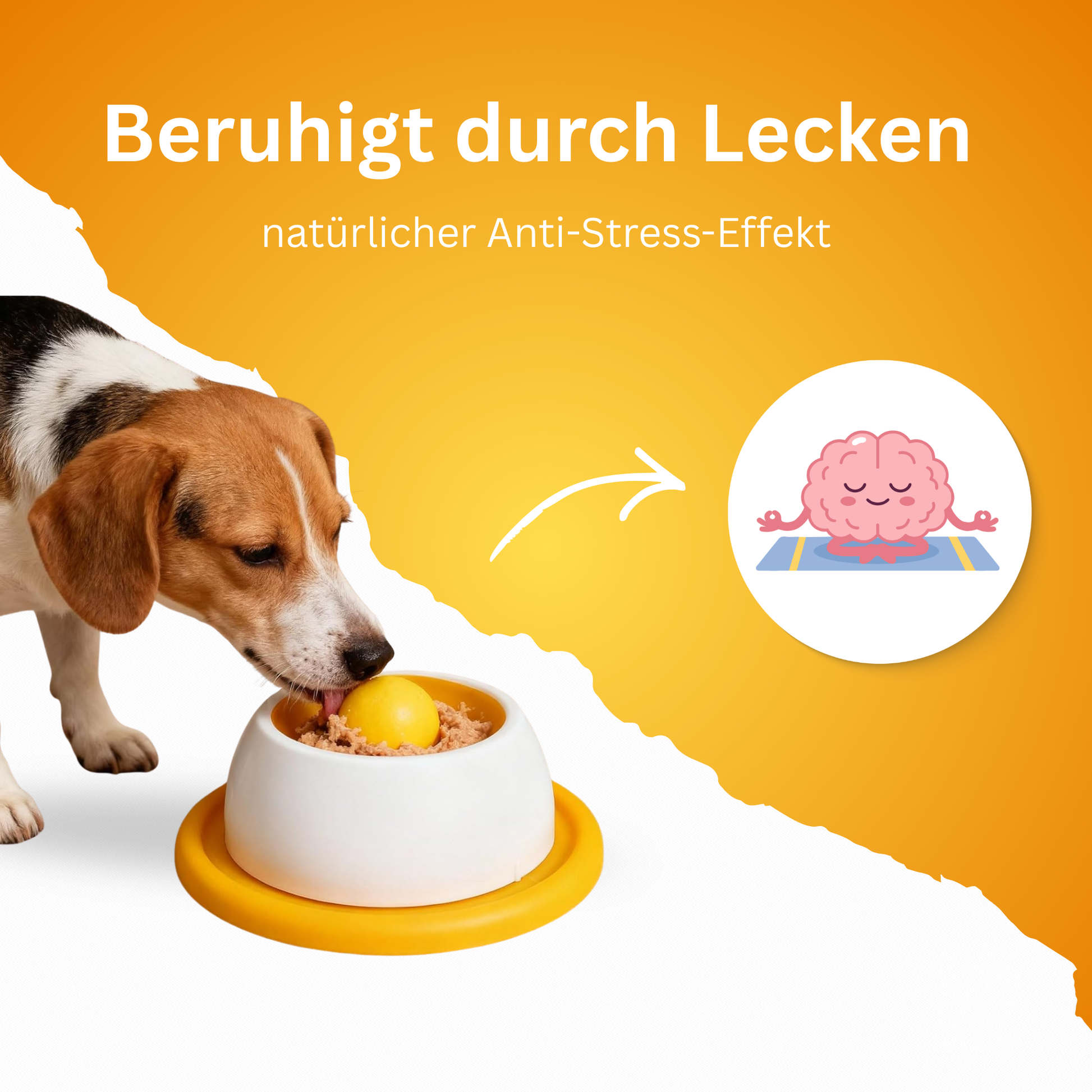 Schlecki Mini