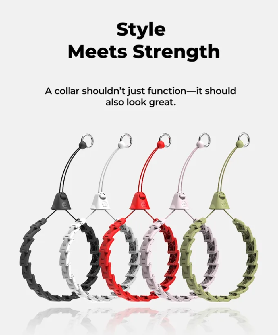 Responsive Behavior Guidance Collar