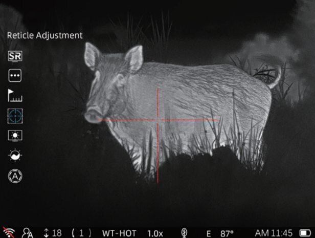 Night vision view of a hog through a 