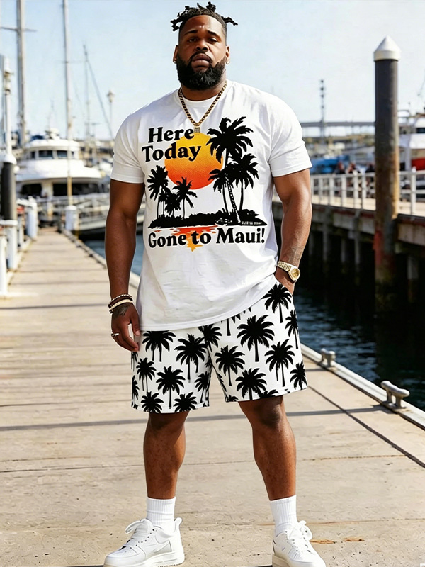 Men's Sunset Scenery Palm Trees Print T-Shirt Shorts Matching Set