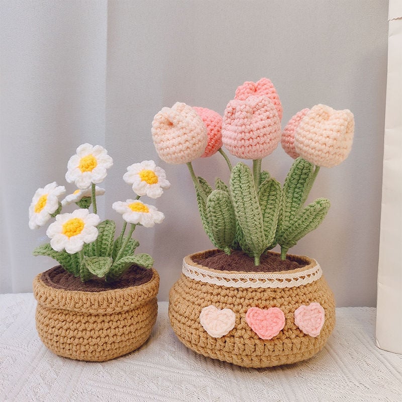 🔥Last 4 hours Sale: Save $20 -Hand-woven Flower Potted Desktop Ornaments (DIY)