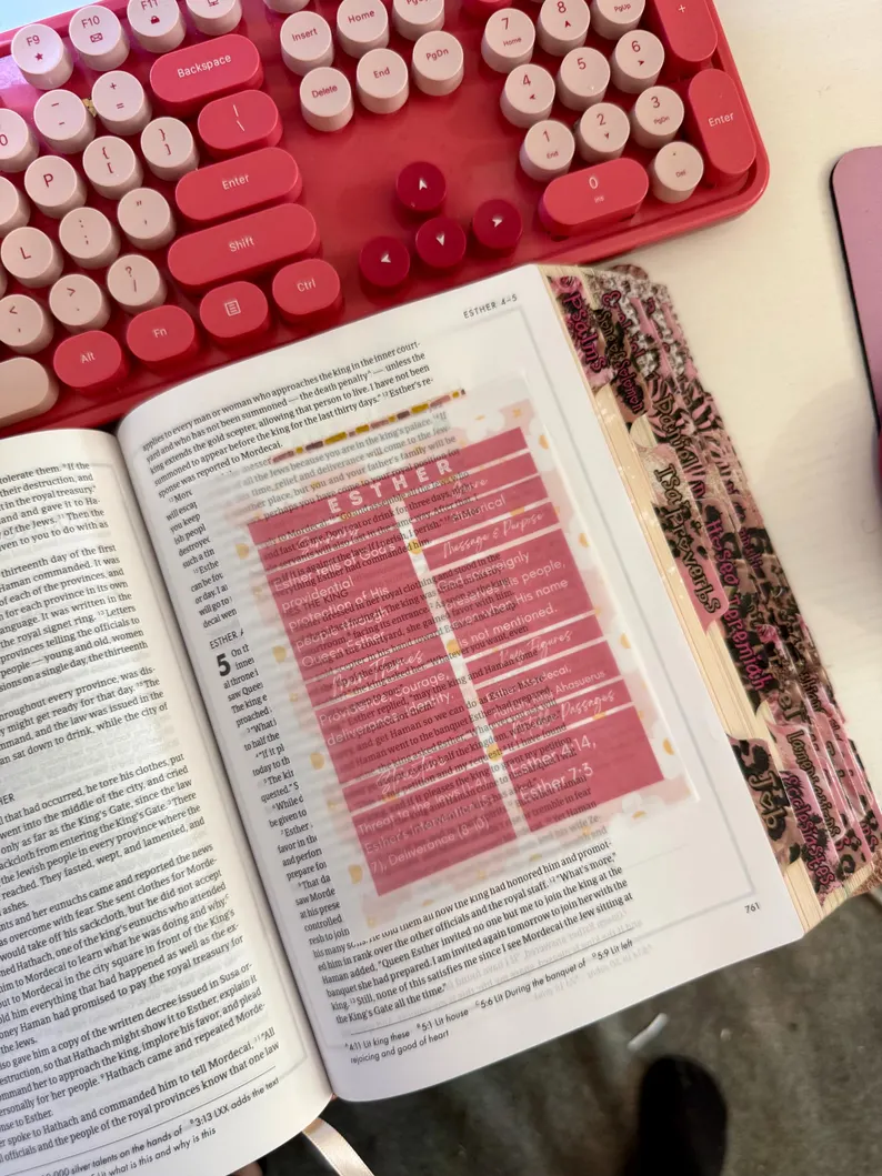 Pink BIBLE TIP INS