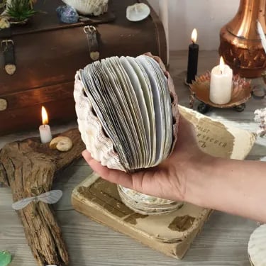Abalone shell/Lion's Paw shell/Scallop Shell journal