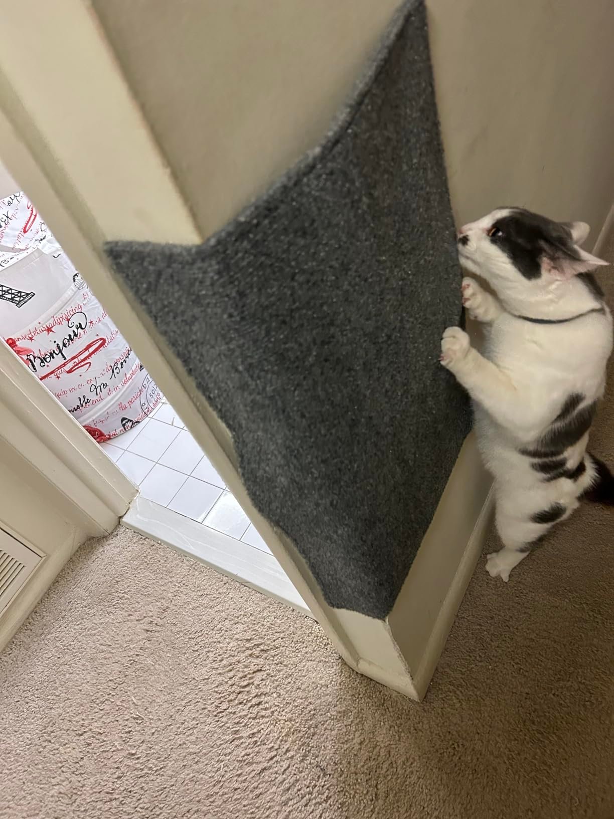 50%🔥Can protect furniture -Asisumption cat scratching mat