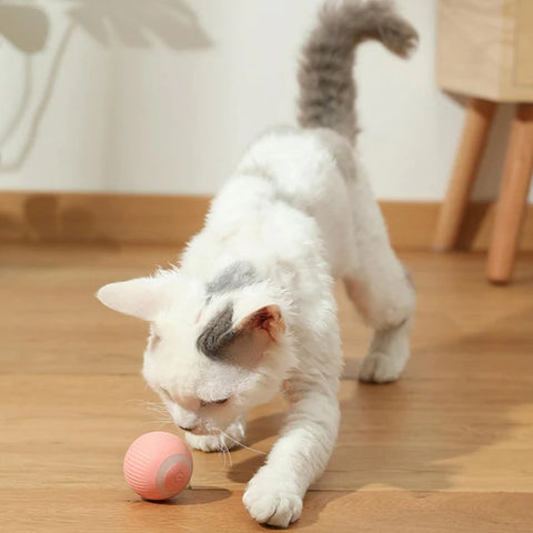 Smart Cat Ball Toy