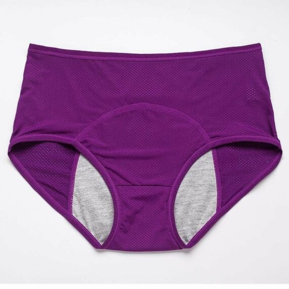 5Pcs- Leak Proof Protective Panties