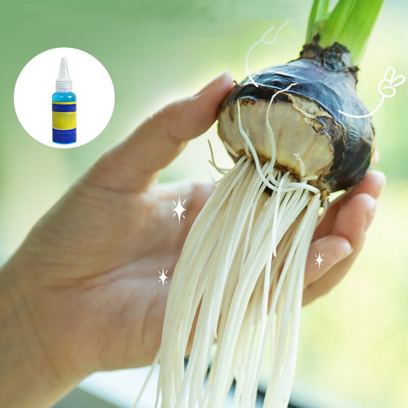 🌱 Professional Nutrient Solution for Flowering Potted Plants! 💐