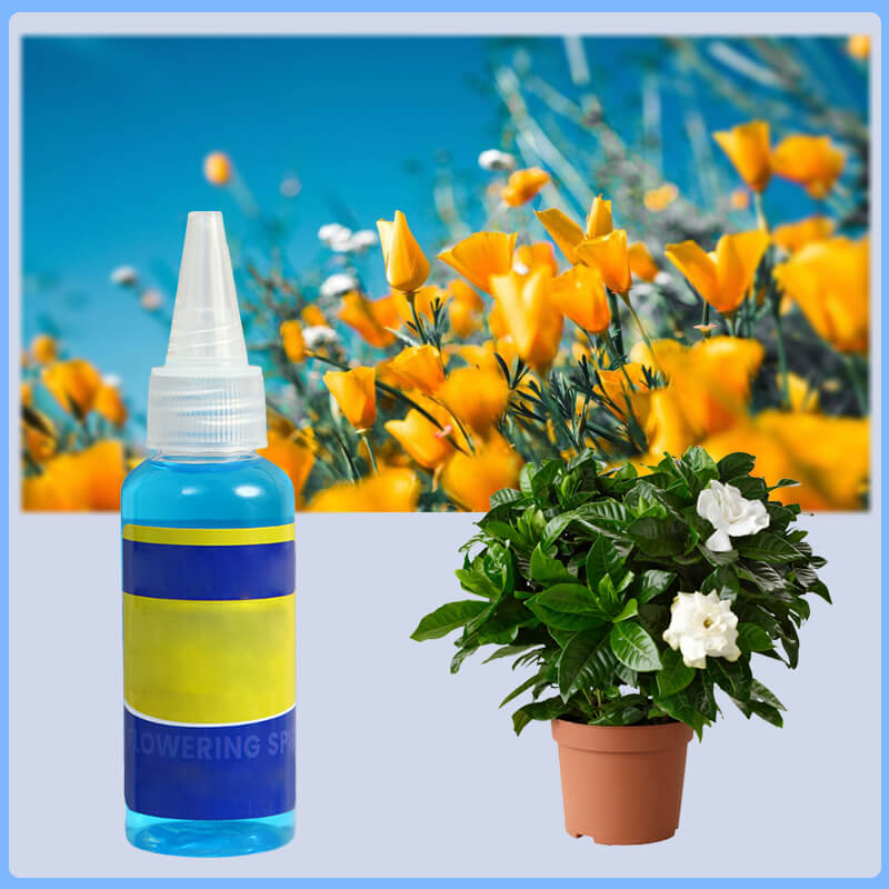 🌱 Professional Nutrient Solution for Flowering Potted Plants! 💐