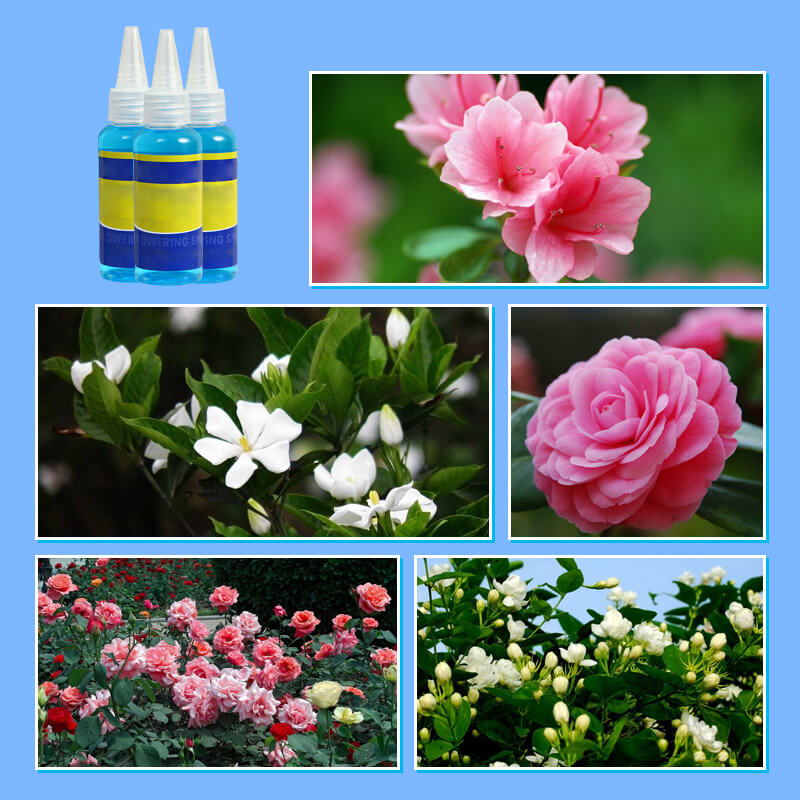 🌱 Professional Nutrient Solution for Flowering Potted Plants! 💐