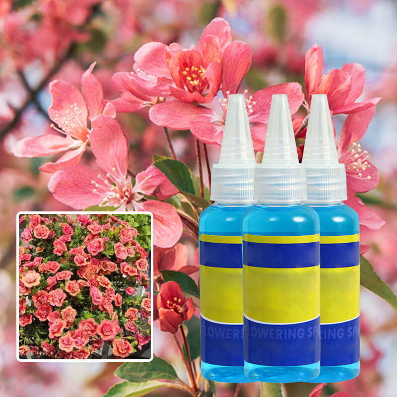 🌱 Professional Nutrient Solution for Flowering Potted Plants! 💐