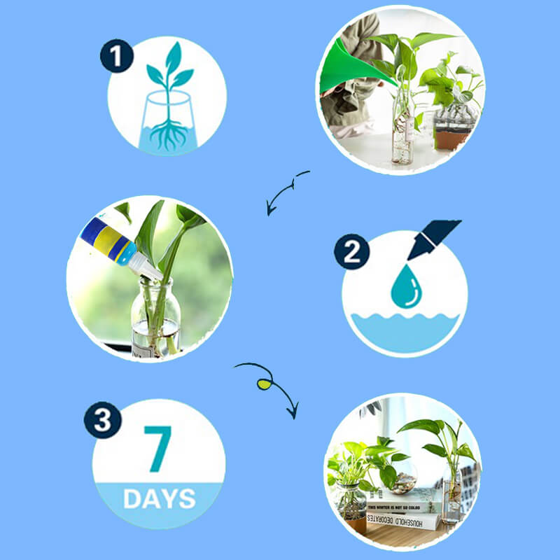 🌱 Professional Nutrient Solution for Flowering Potted Plants! 💐