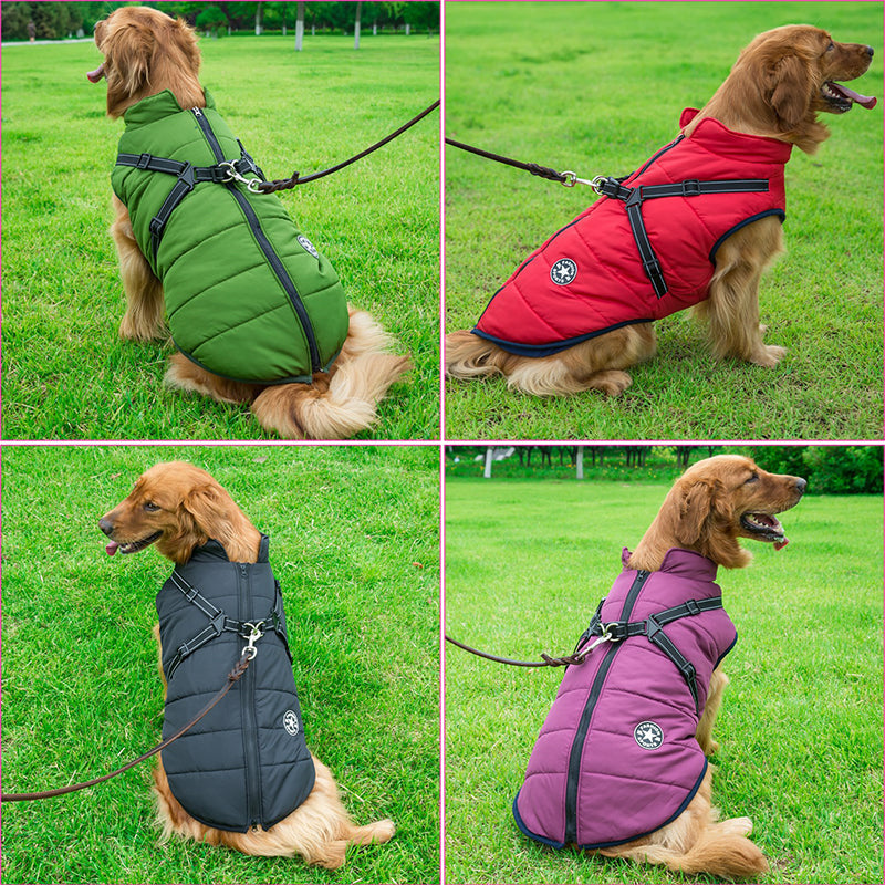 Pawbb - Waterproof Winter Jacket with Built-in Harness