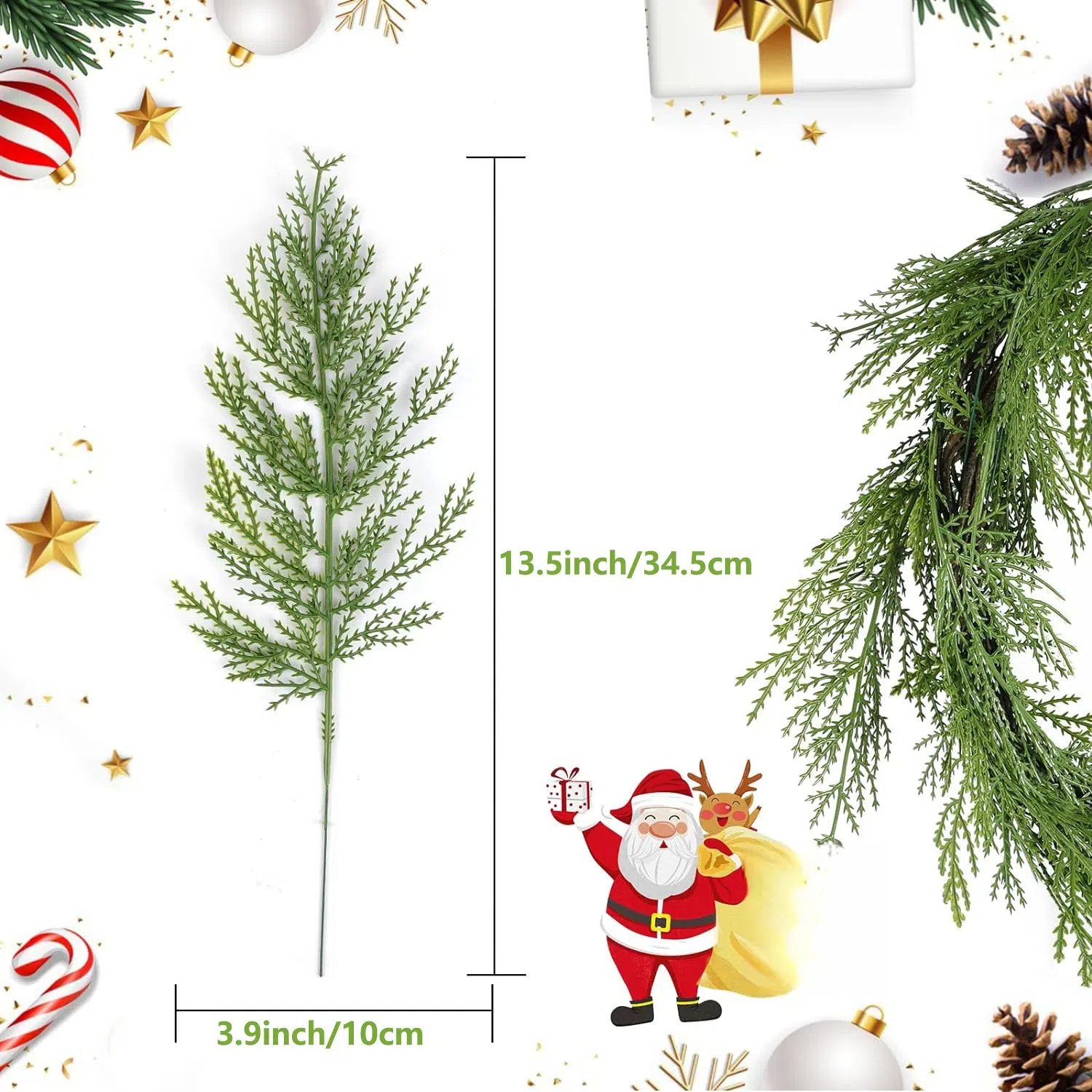 🎄Natural Christmas Greenery 🎄Norfolk Pine Branch