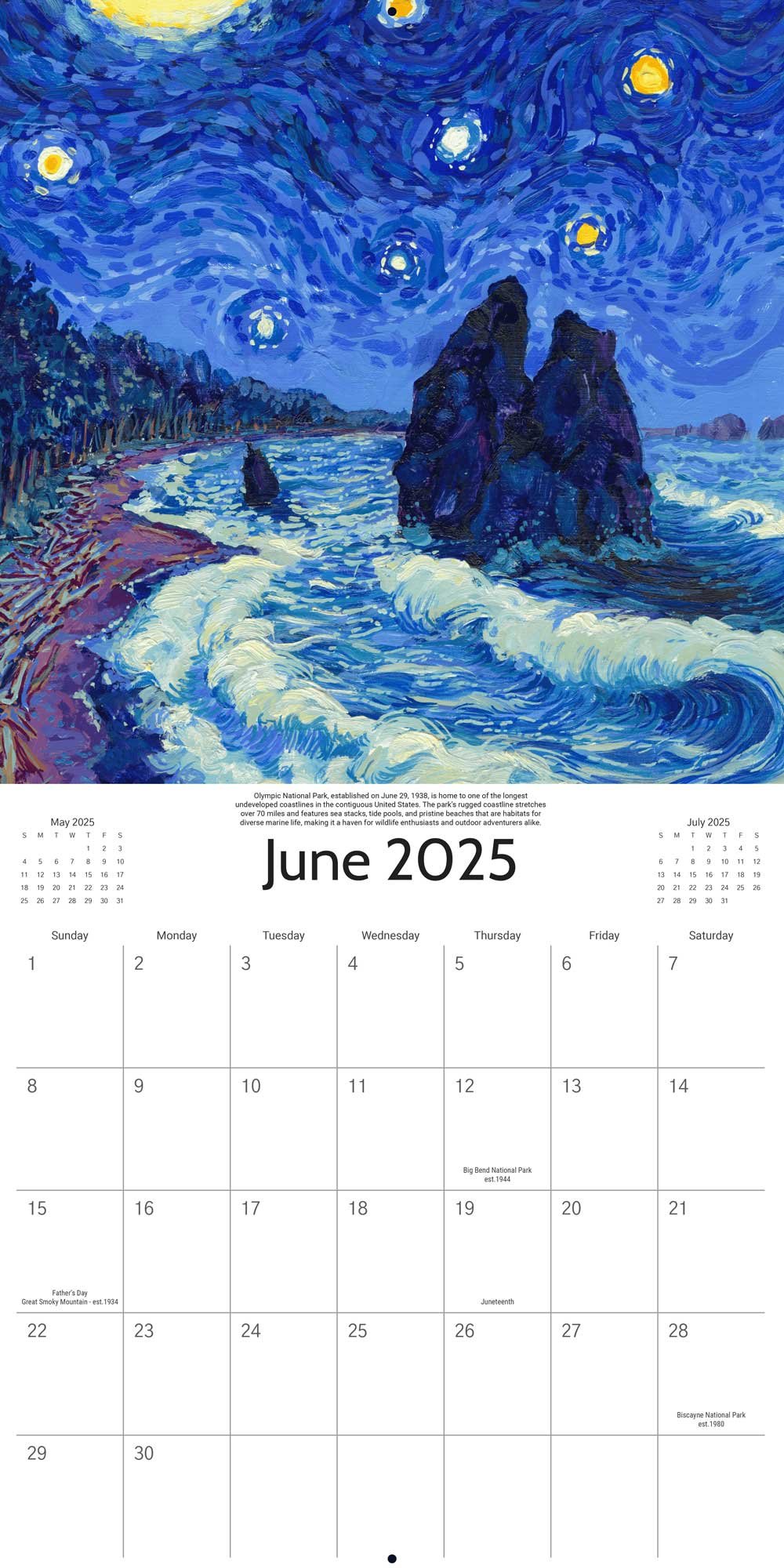 🎨2025 Starry Night National Park Calendar