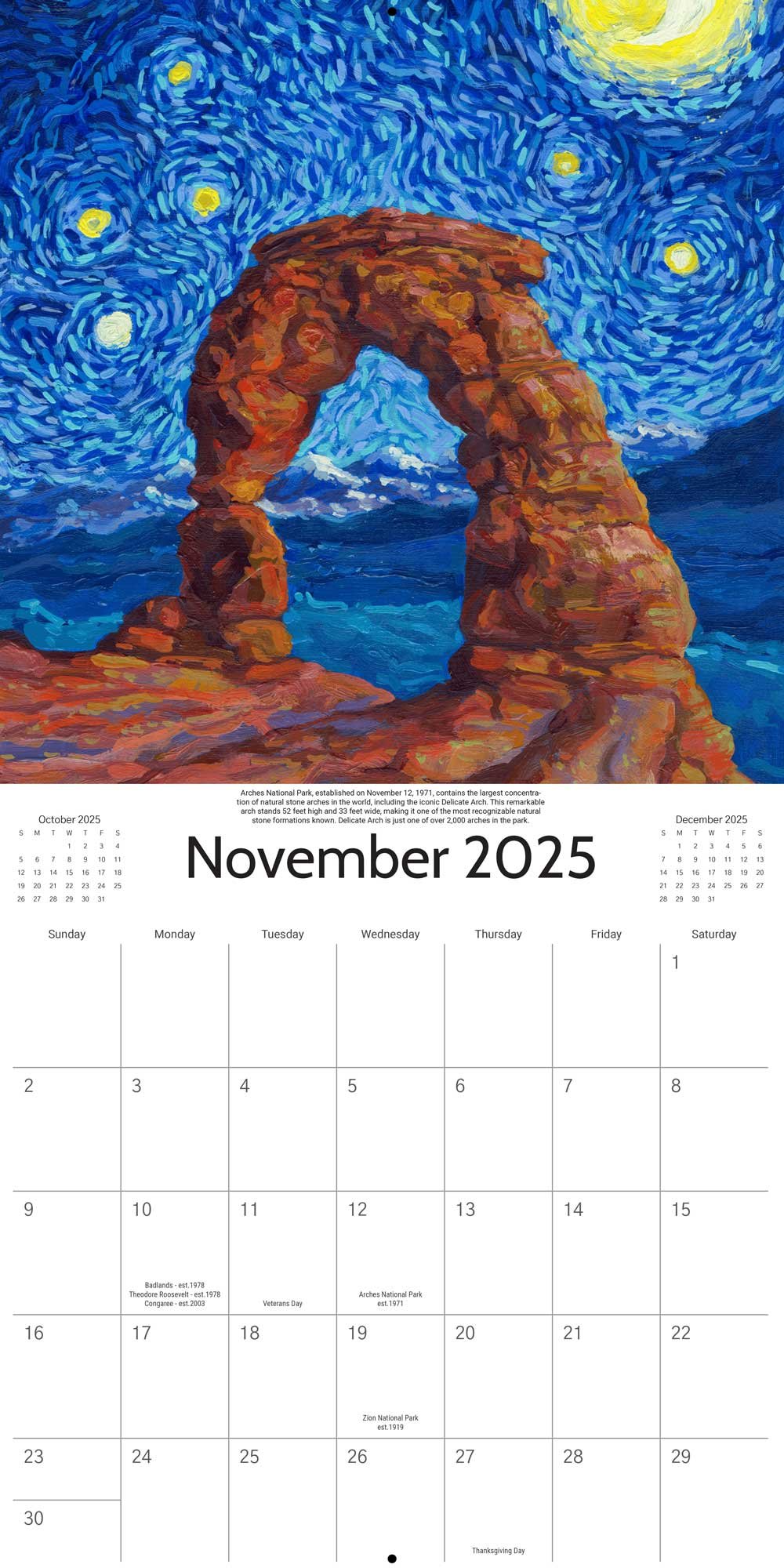 🎨2025 Starry Night National Park Calendar