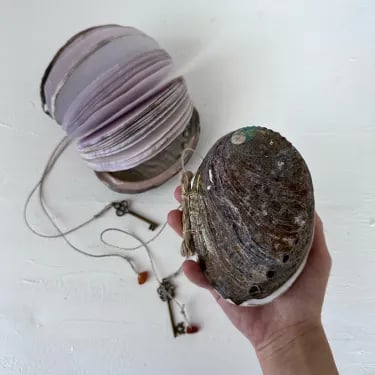 Abalone shell/Lion's Paw shell/Scallop Shell journal