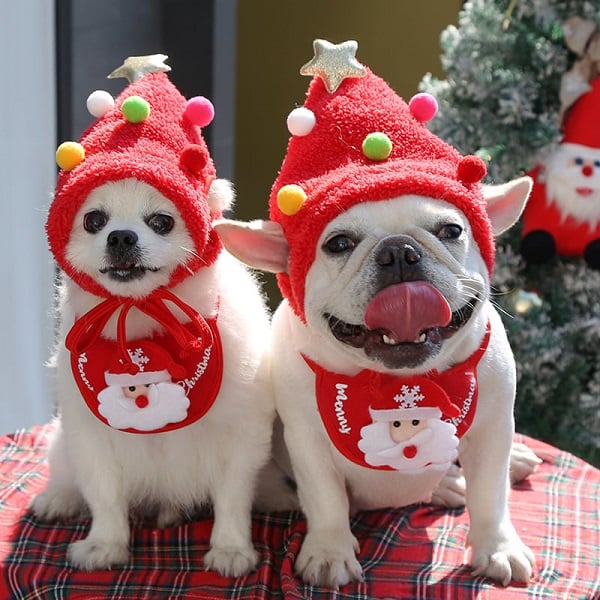 Dog and Cat Christmas Matching Costumes-Tree Pompon Hat & Reindeer Bib Set