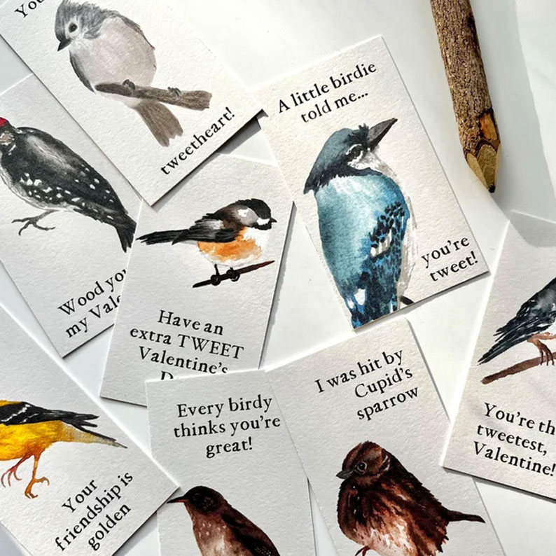 Bird Valentine Cards