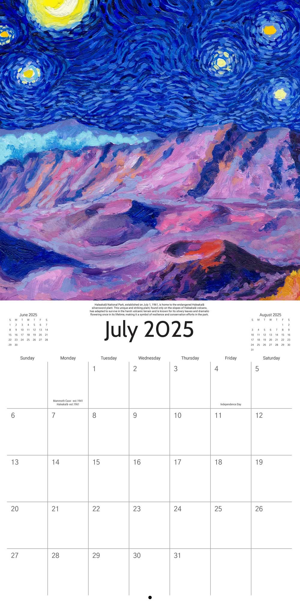 🎨2025 Starry Night National Park Calendar