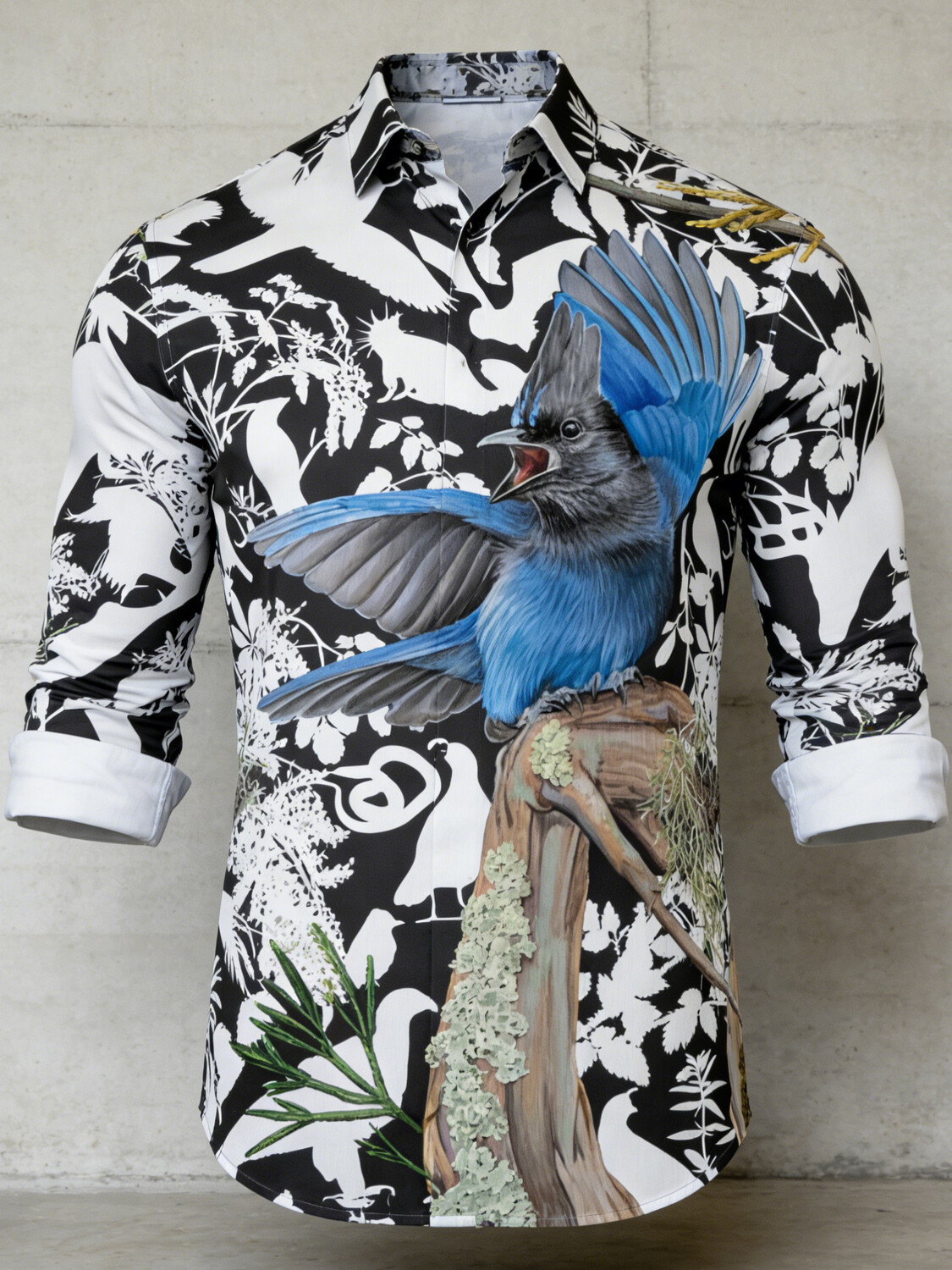 Men's Blue Jay Bird Colorblock Art Print Long Sleeve Shirt