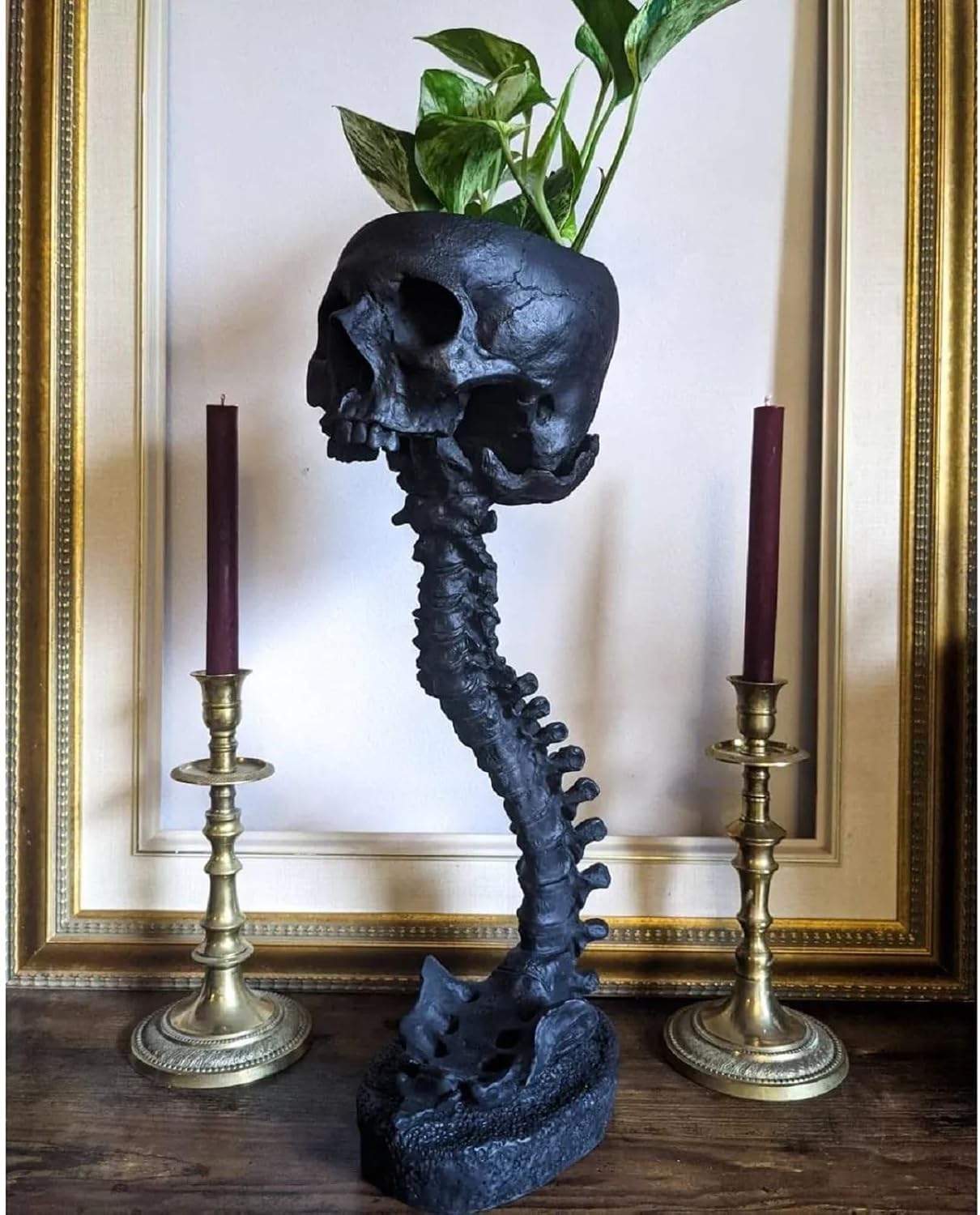 🔥BUY 2 FREE SHIPPING✨💀Skull Planter with Spine Stand