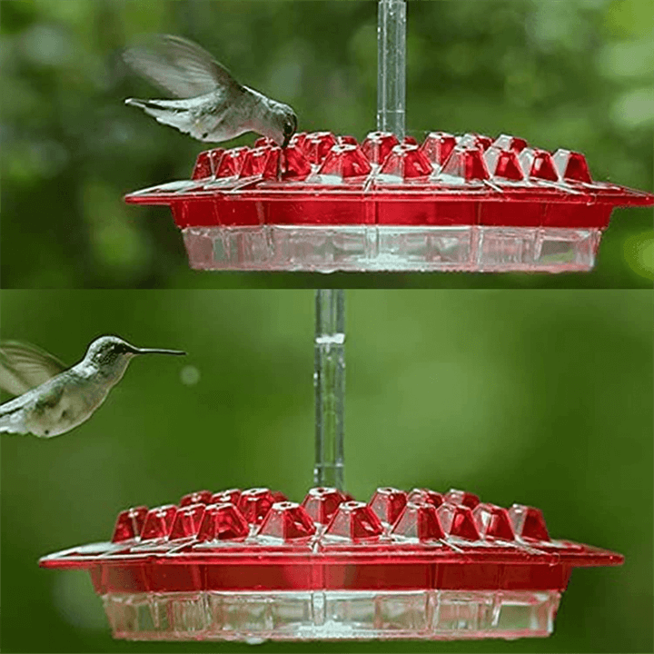 Hummingbird Feeder