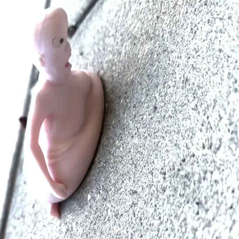 RENE Squishy Doll – Squishy, Laughing Fun!