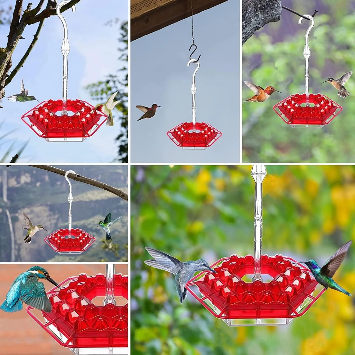 Reservationk✨LAST DAY SALE-70% OFF💥Hummingbird Feeders for Outdoors Hanging