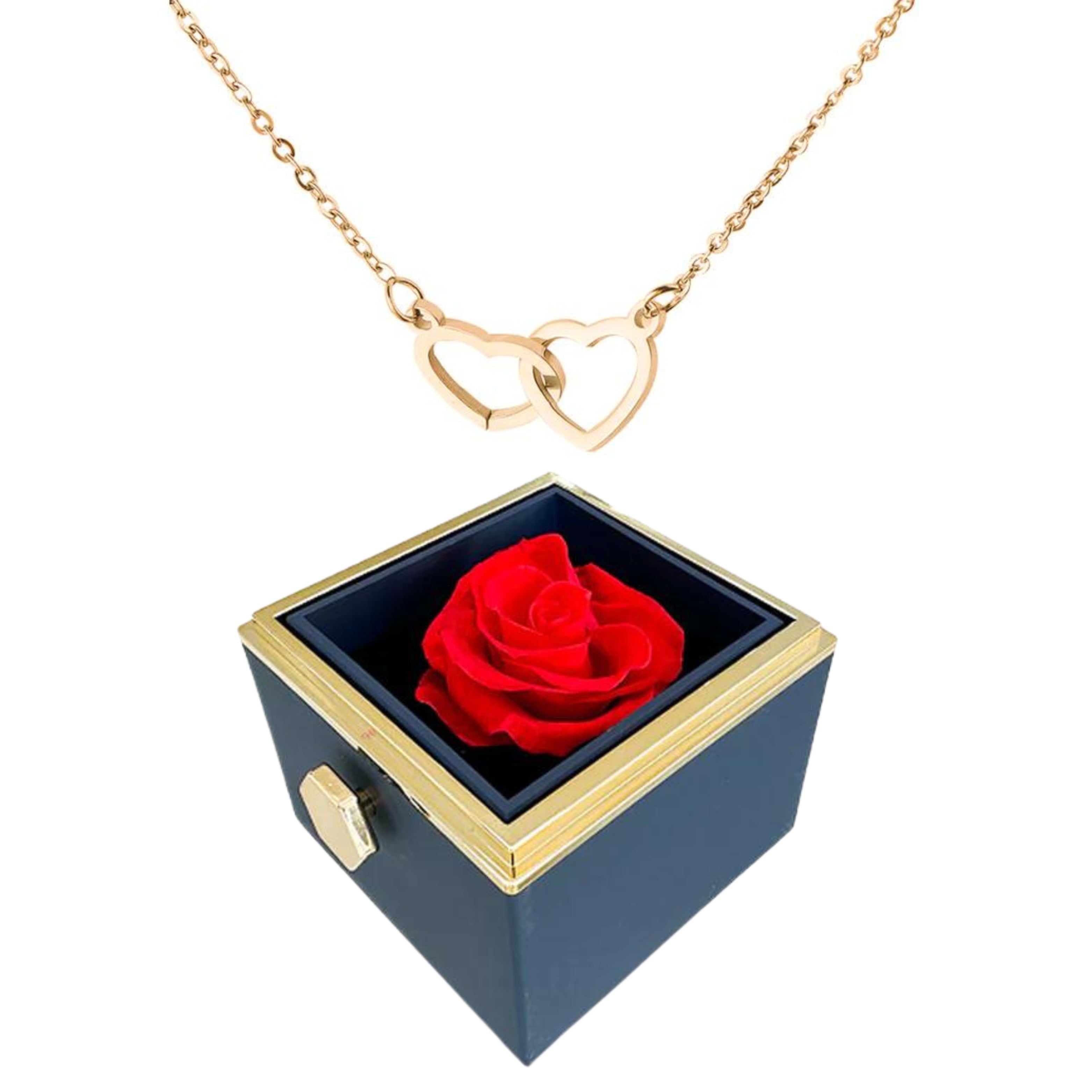 Pheromania ETERNALLY PRESERVED ROTATING ROSE BOX - W/ ENGRAVED HEART NECKLACE