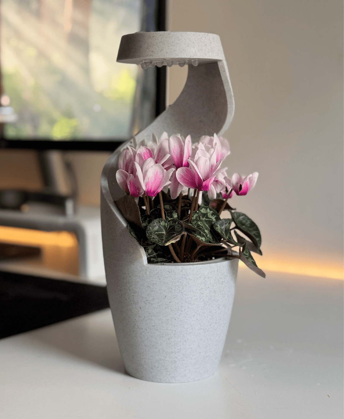 🔥Last Day 49% OFF - Raining Desktop Vase Pot Planter