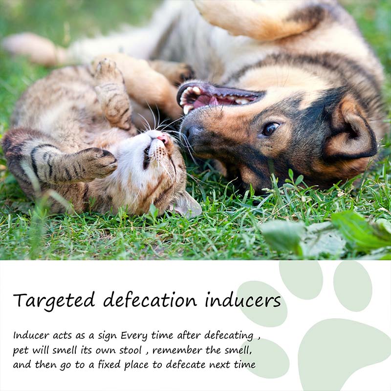 ✨ Pet Positioning Defecation Inducer Spray! 🐶🐱💩