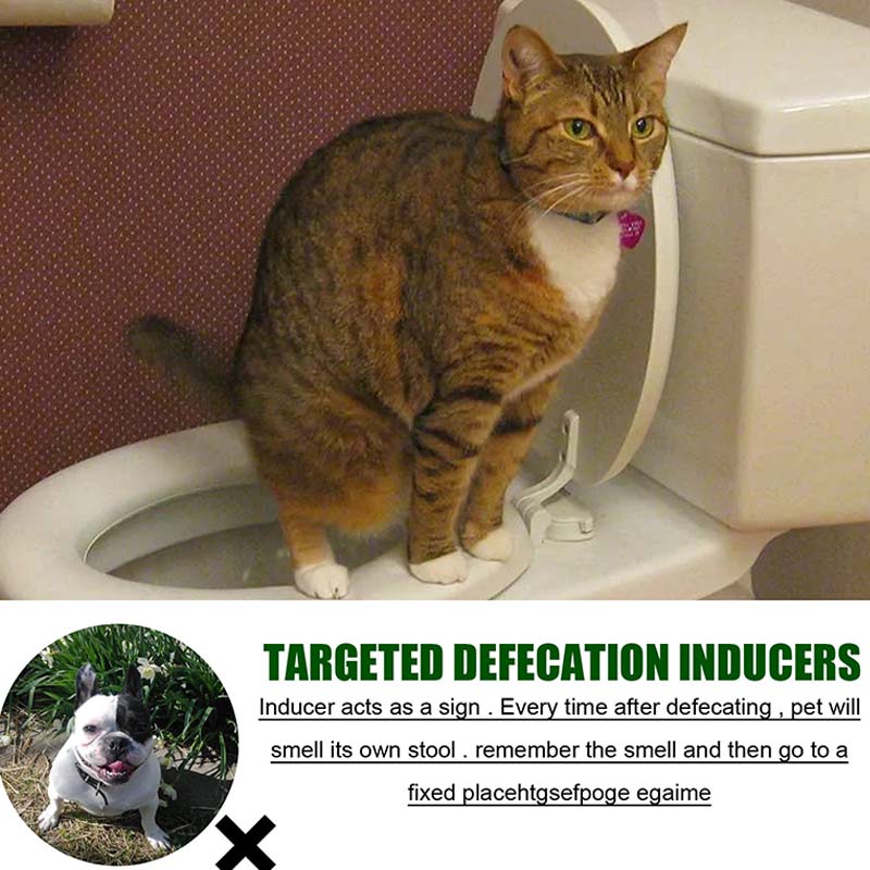✨ Pet Positioning Defecation Inducer Spray! 🐶🐱💩
