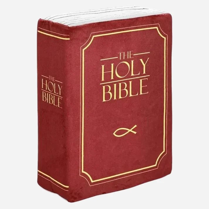 Holy Bible Pillow Book🙏💖 BUY 2 FREE SHIPPING