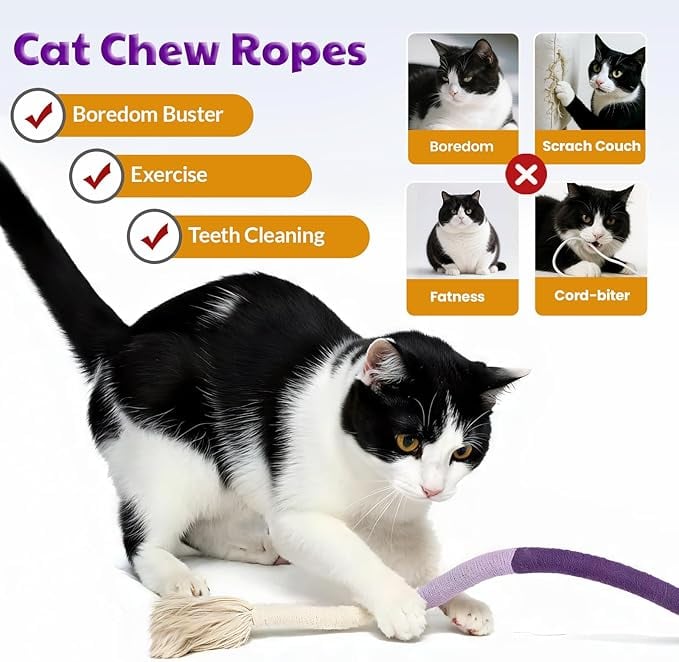 Catnip Chew Rope Toy - Natural, Safe Tooth Cleaner for Indoor Kittens