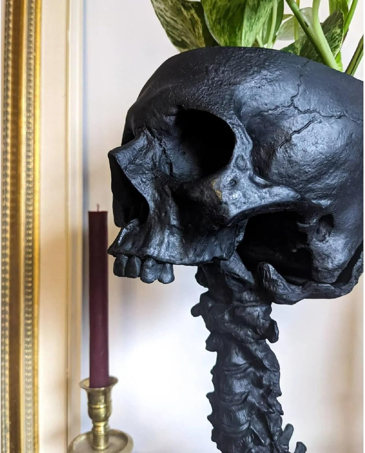 🔥BUY 2 FREE SHIPPING✨💀Skull Planter with Spine Stand