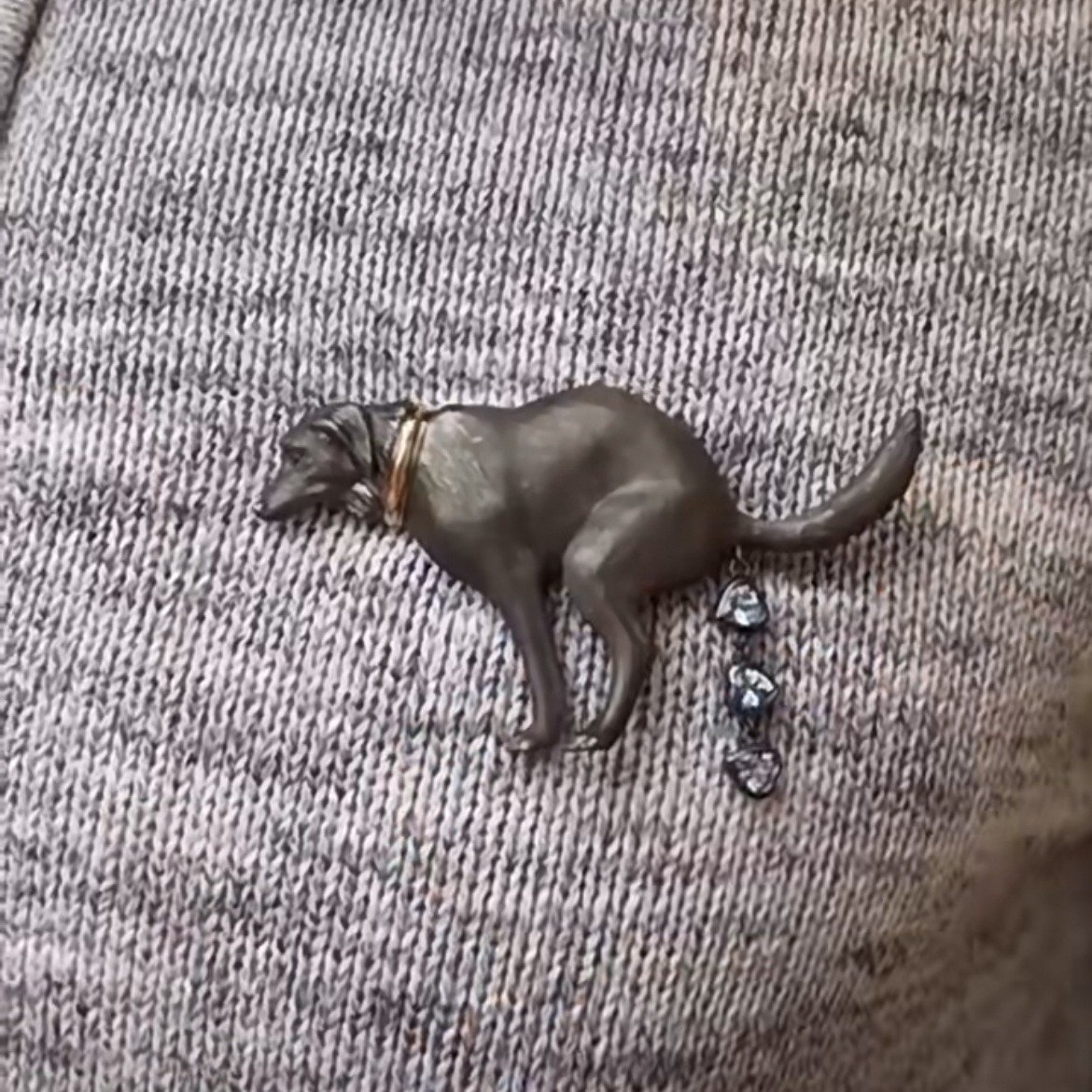 Dog Pooping Design Brooch for Friends