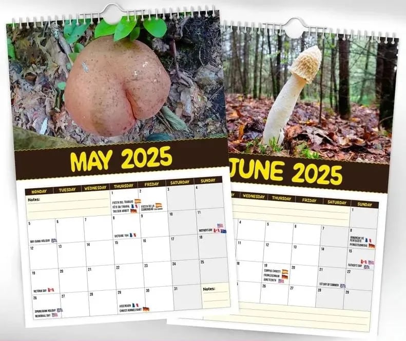 World's Greatest Mushrooms 2025 Calendar