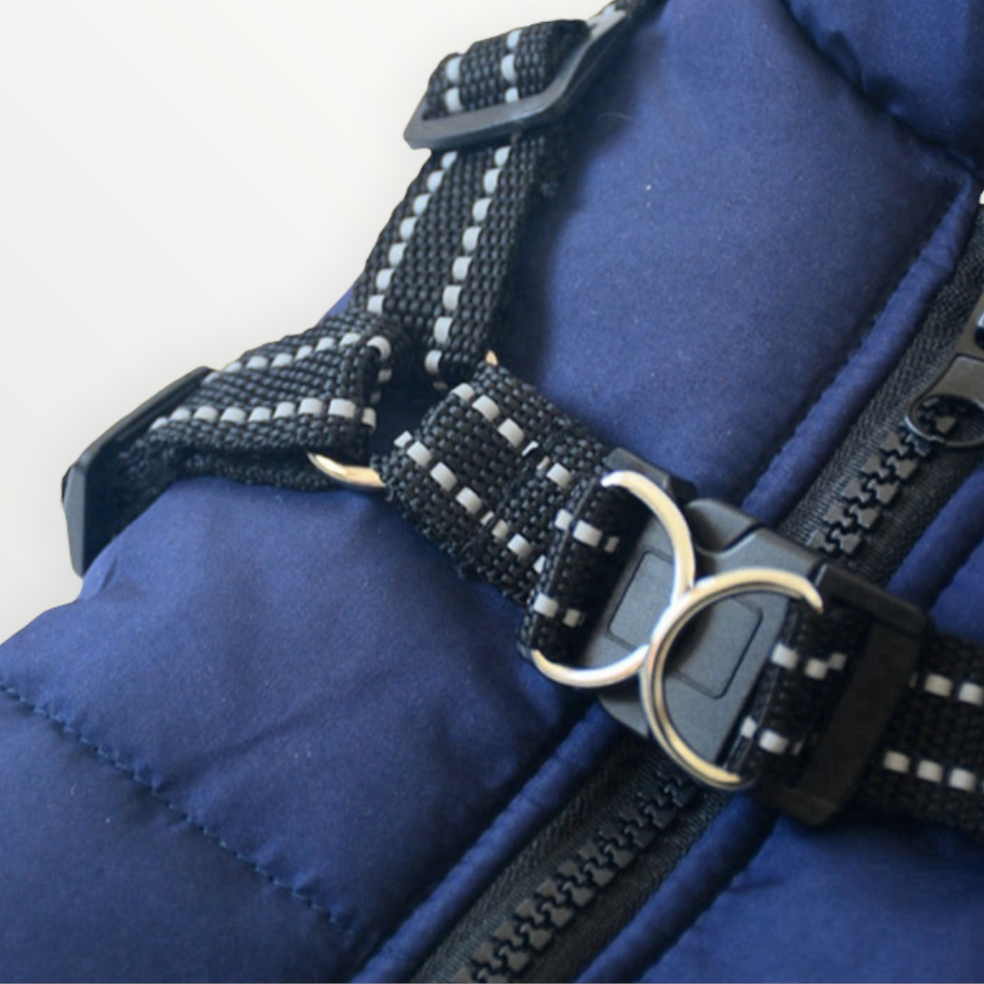 Pawbb - Waterproof Winter Jacket with Built-in Harness