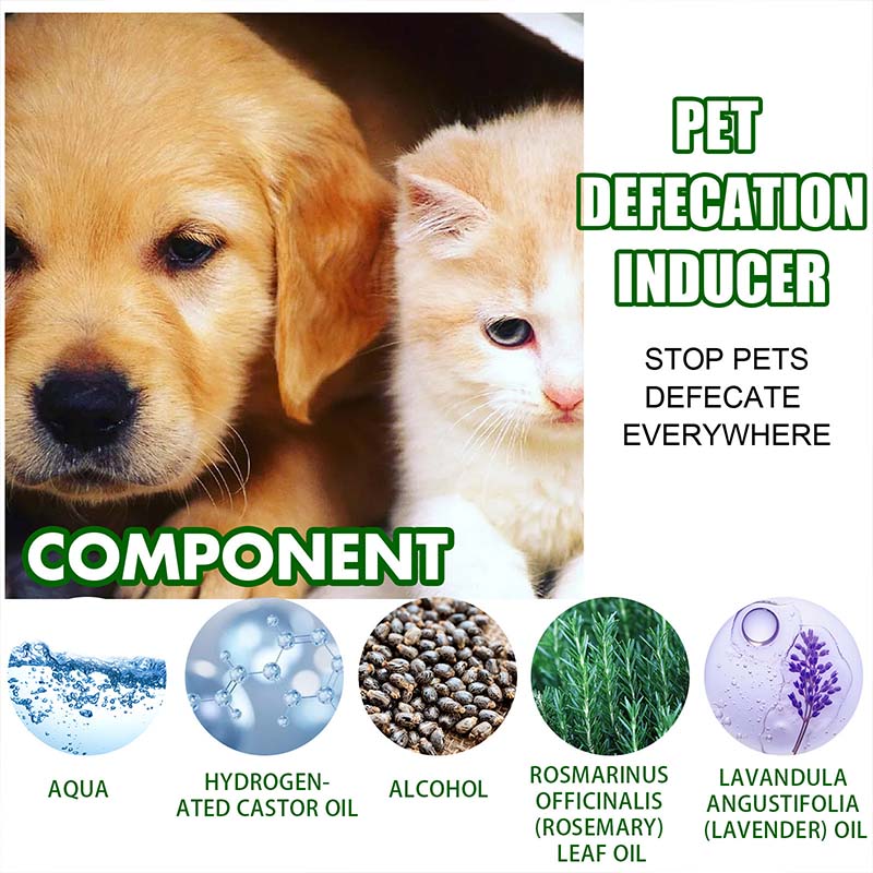 ✨ Pet Positioning Defecation Inducer Spray! 🐶🐱💩